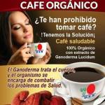 CafésaludableDXN profile picture