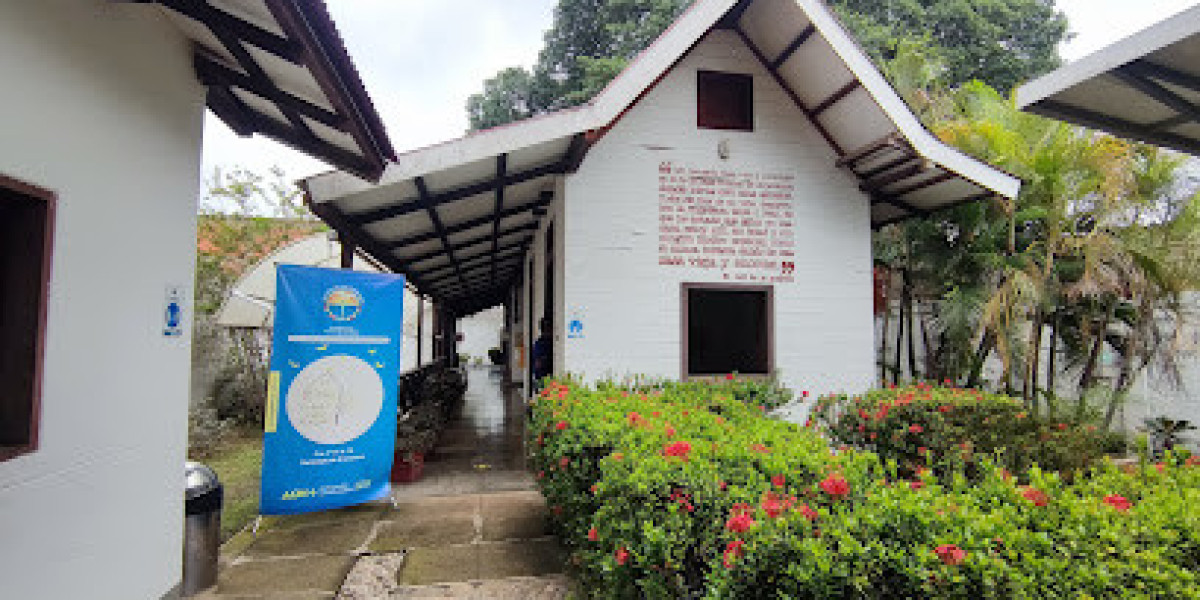 Sumérgete en el Mundo de Gabo: Visita la Casa Museo en Aracataca y Conecta con la Comunidad Literaria en aijoining
