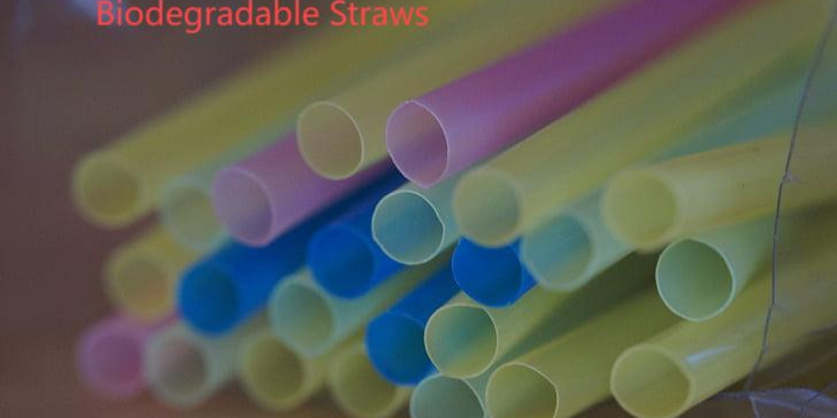 Eco-Conscious Manufacturing: The Role of Straws Factories in Sustainability