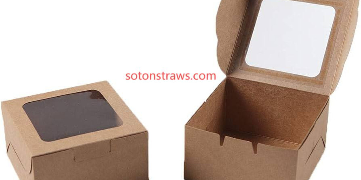How Soton Disposable Kraft Boxes Are Evolving to Meet the Demands of Eco-Conscious Consumers
