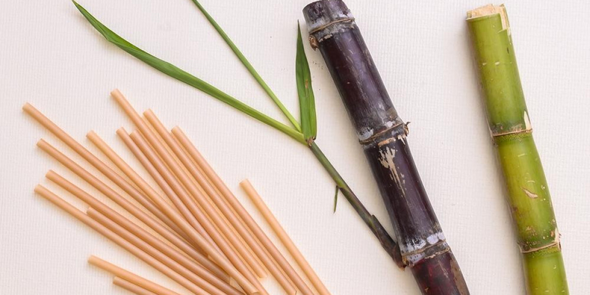 The Role of Paper Straws Manufactory in Combating Plastic Waste