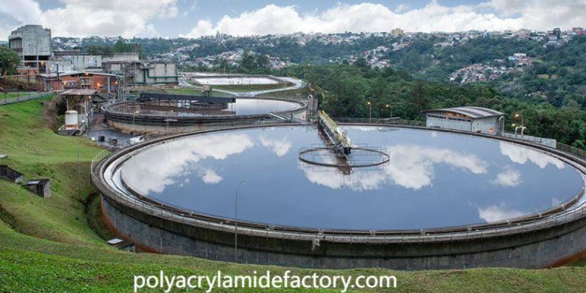 Optimized Flocculants for Tailings Treatment and Disposal