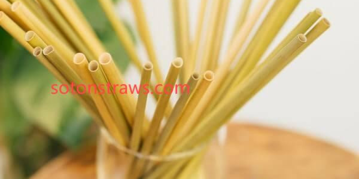 Fluid Dynamics and Structural Integrity in Eco-Friendly Straws