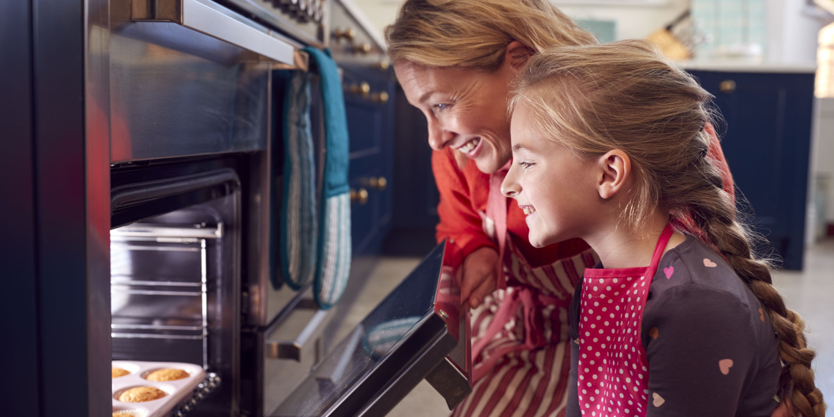 Three Of The Biggest Catastrophes In Intergrated Electric Oven History