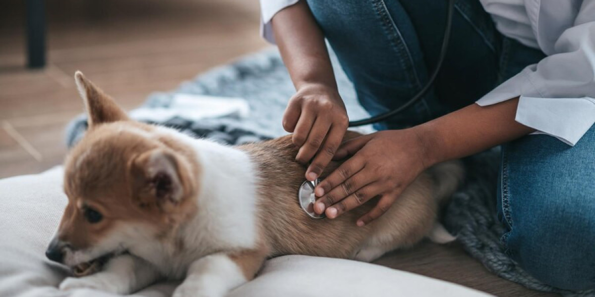 Fenbendazole Tablet: Treat Intestinal Parasites in Your Dog