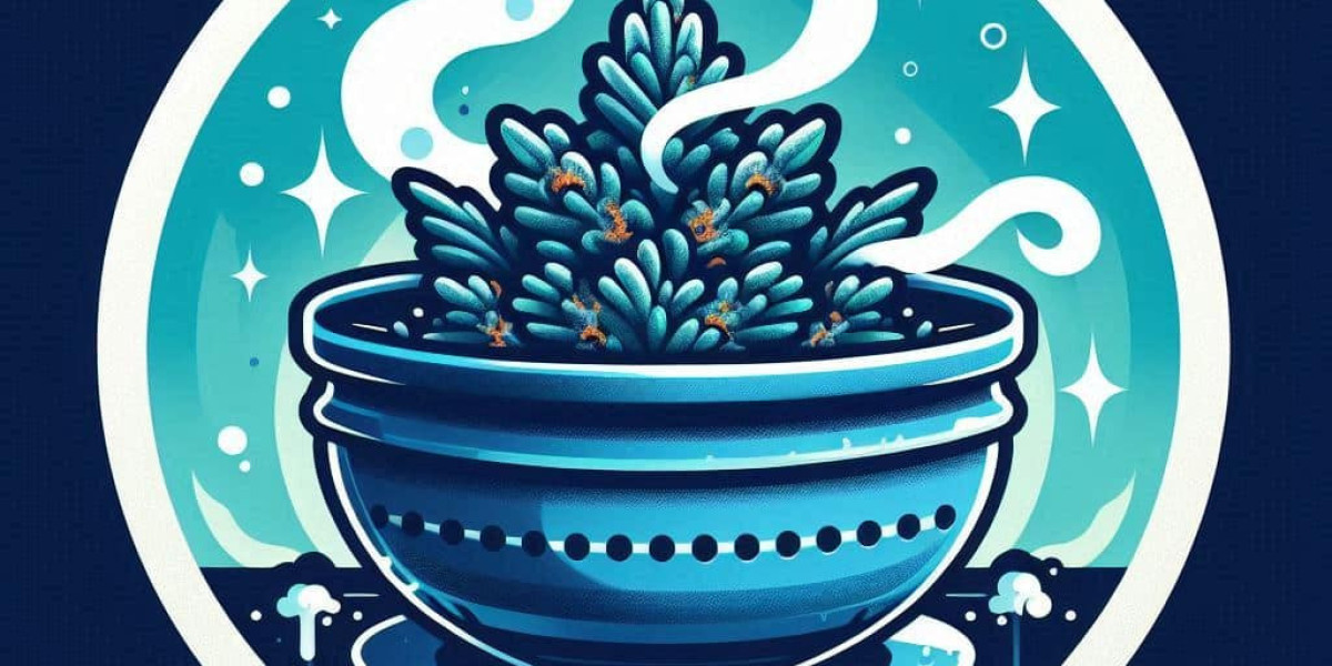 Best Blue Dream Seeds for Sale: A Grower’s Guide