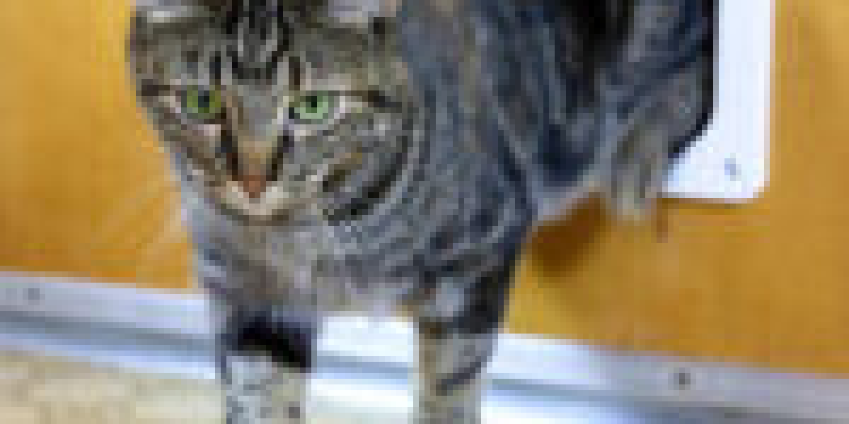 10 Factors To Know About Cat Door Placement You Didn't Learn In School