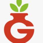 Garg Financial Services profile picture
