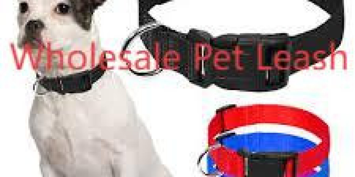 Upgrading Pet Retail with High-Quality Accessories