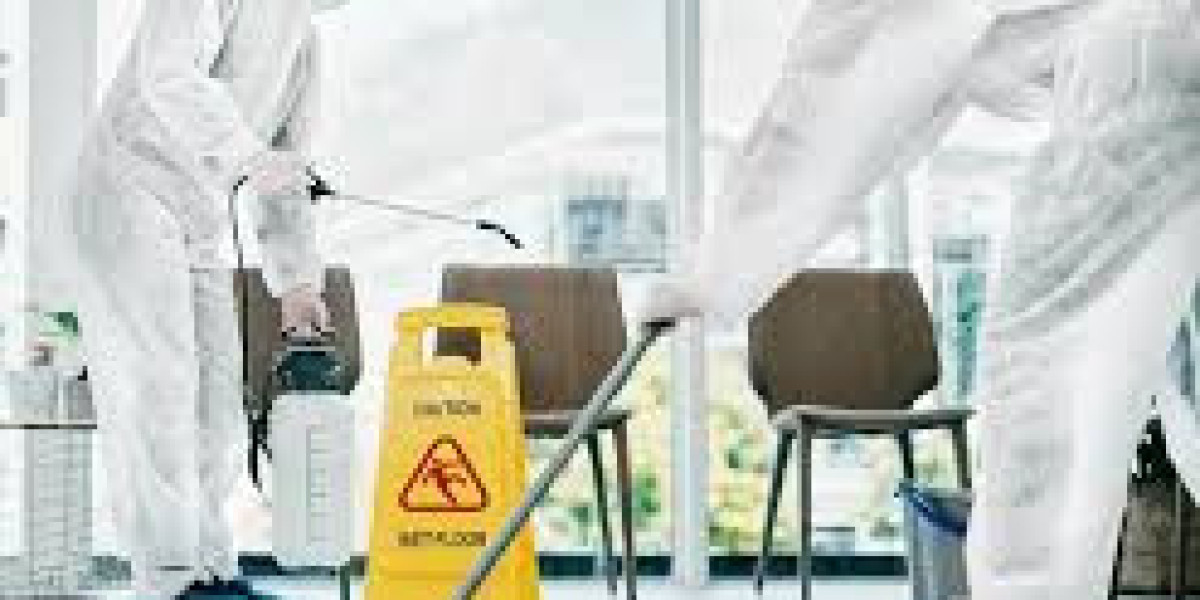 Ultimate Guide to Biohazard Removal: Process, Importance & Professional Help