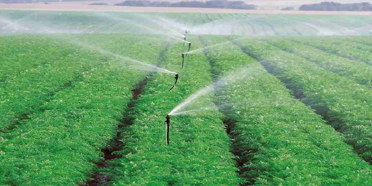 Why jbellservices Is the Best Choice for Sprinkler Installation Services