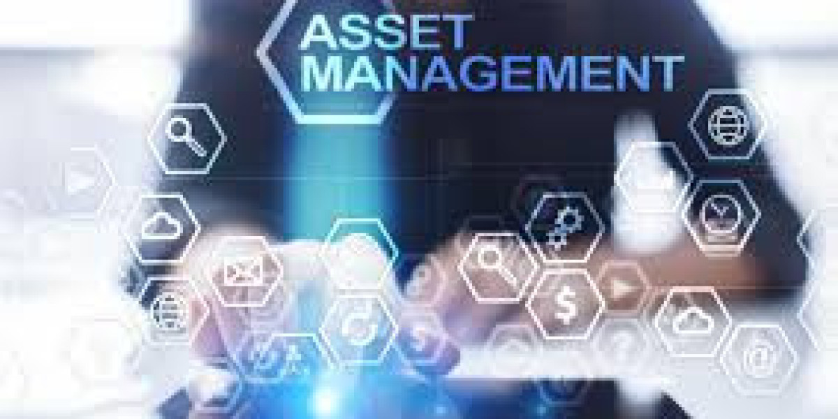 Brazil IT Asset Management Software Market Dynamics 2025-2035