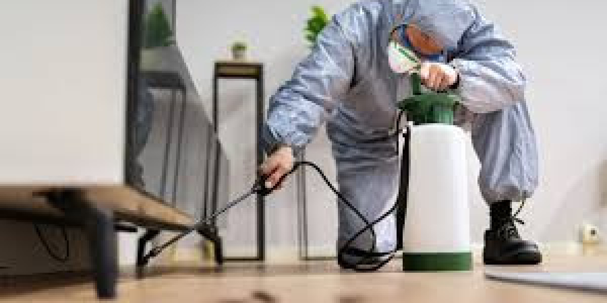 Mice and Rats Removal: Fast, Safe, and Humane