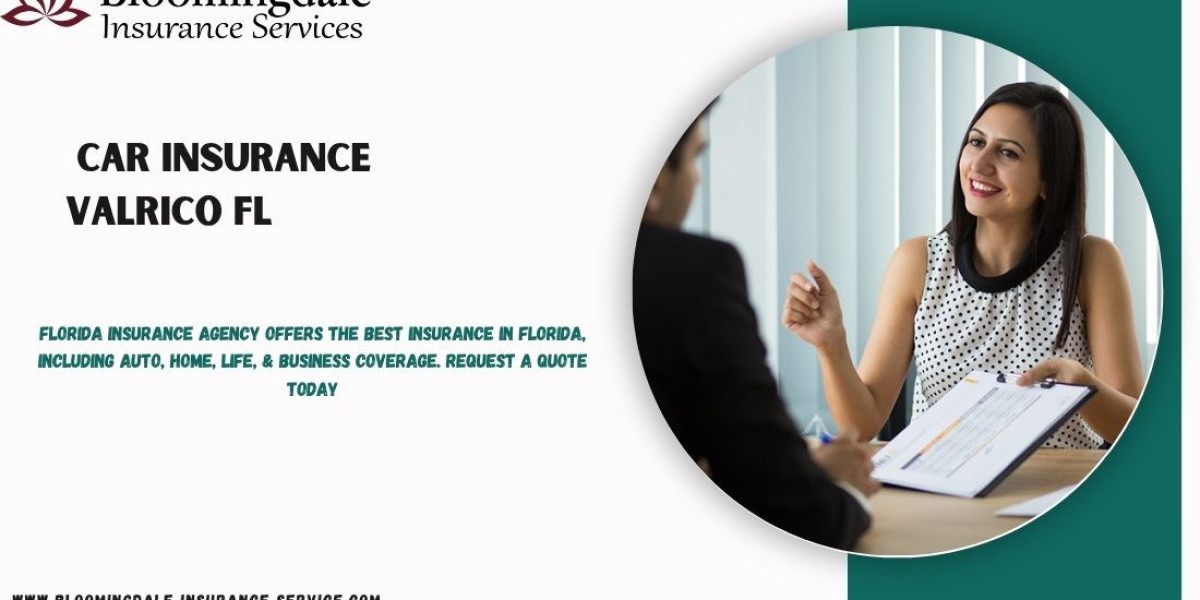 Top Car Insurance Valrico FL Plans with Bloomingdale Insurance Services