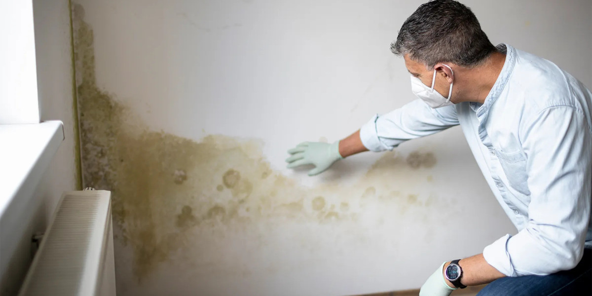 Is mold remediation the same as removal?