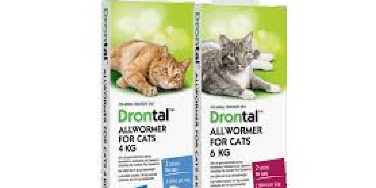 Drontal and Drontal Plus for Cats: What You Need to Know