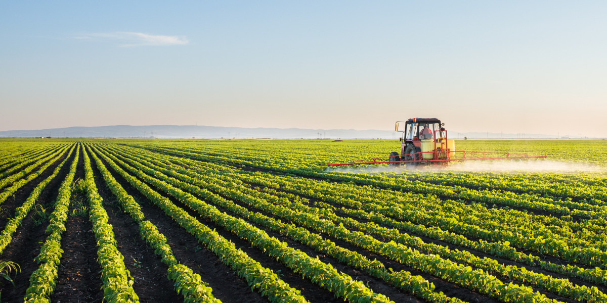Tackling Tough Weeds and Insect Threats: Practical Crop Protection Strategies for Farmers in Okara