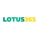lotus365 profile picture