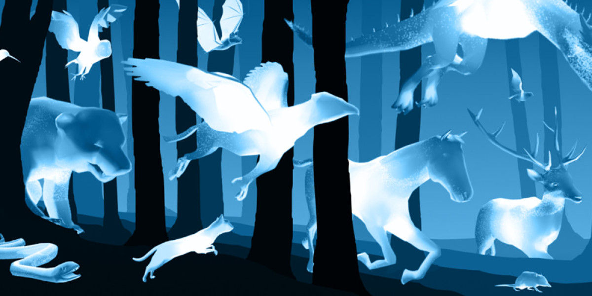 Harry Potter Patronus Insights – Unlock Hidden Meanings
