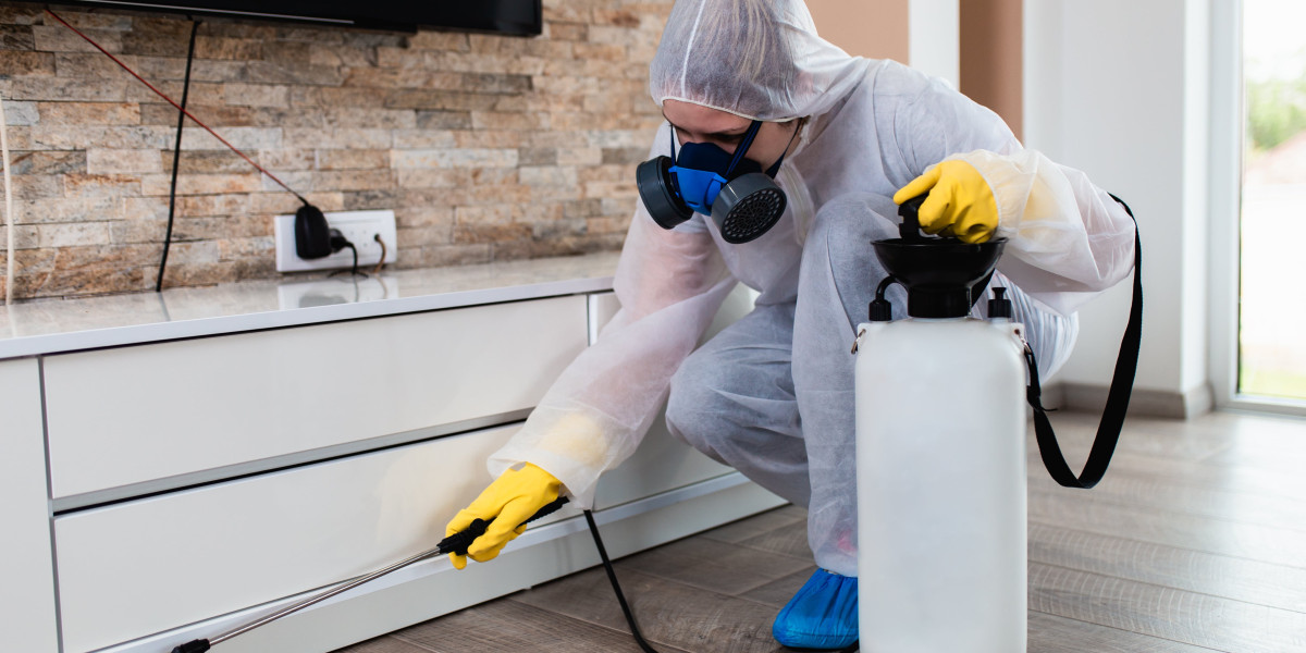 Safe Home Pest Management Services: Guard Your Family without Sacrificing Safety