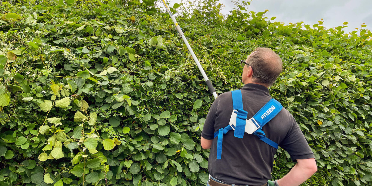 Deadwood Removal vs Tree Pruning: What’s the Difference