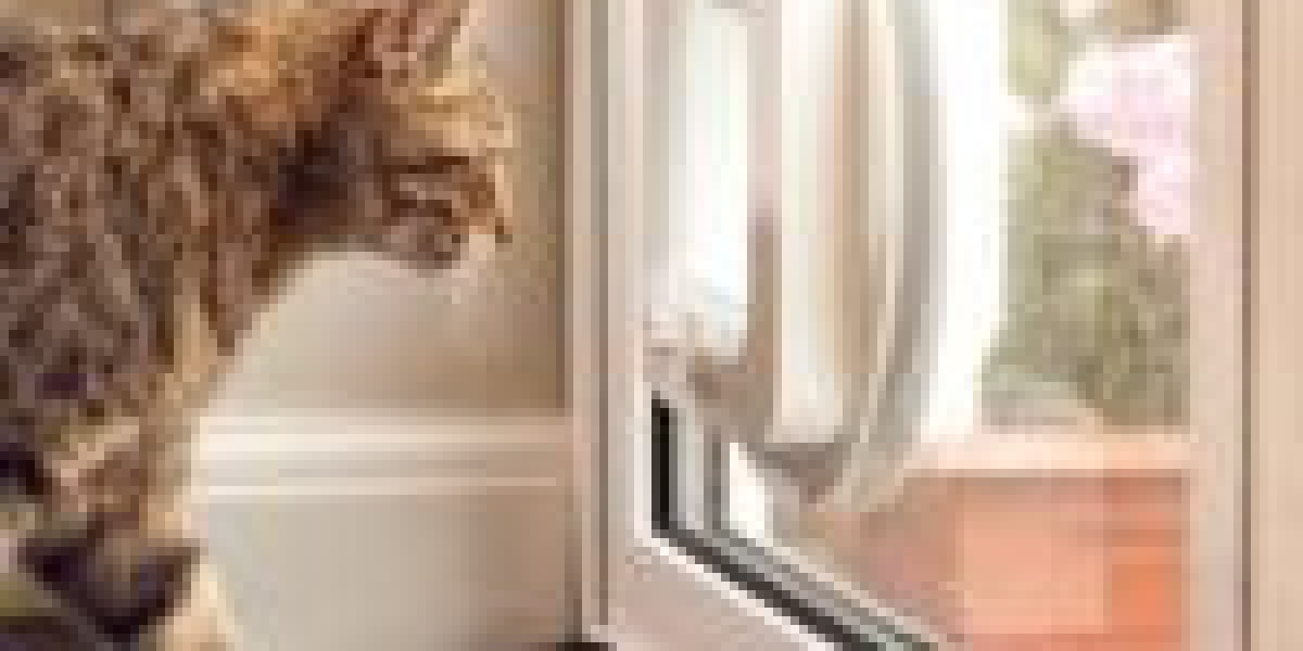 The 10 Scariest Things About Trusted Cat Flap Installer