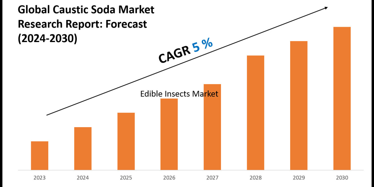 Caustic Soda Market Overview 2024–2030: Demand & Future Trends