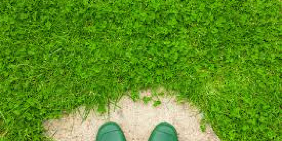 Clover Lawn: The Eco-Friendly Alternative to Traditional Grass