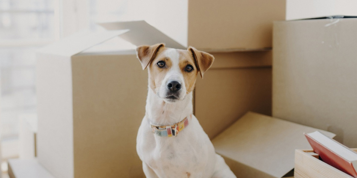 Pet Relocation Services: Making Pet Travel Safe and Simple