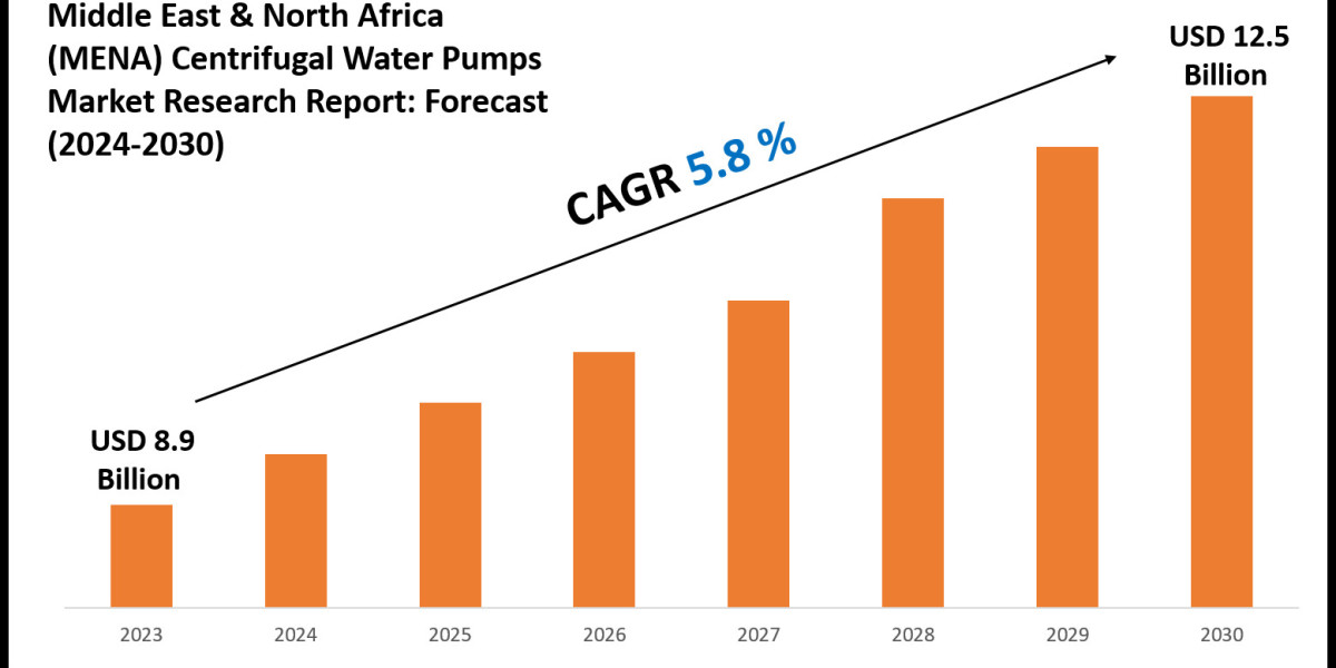 Middle East & North Africa (MENA) Centrifugal Water Pumps Industry Analysis 2024–2030: Market Insights & Forecas
