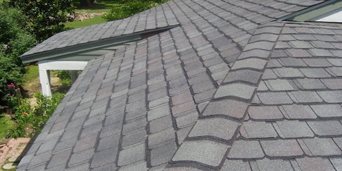 Transforming Homes with Expertise in Hamilton