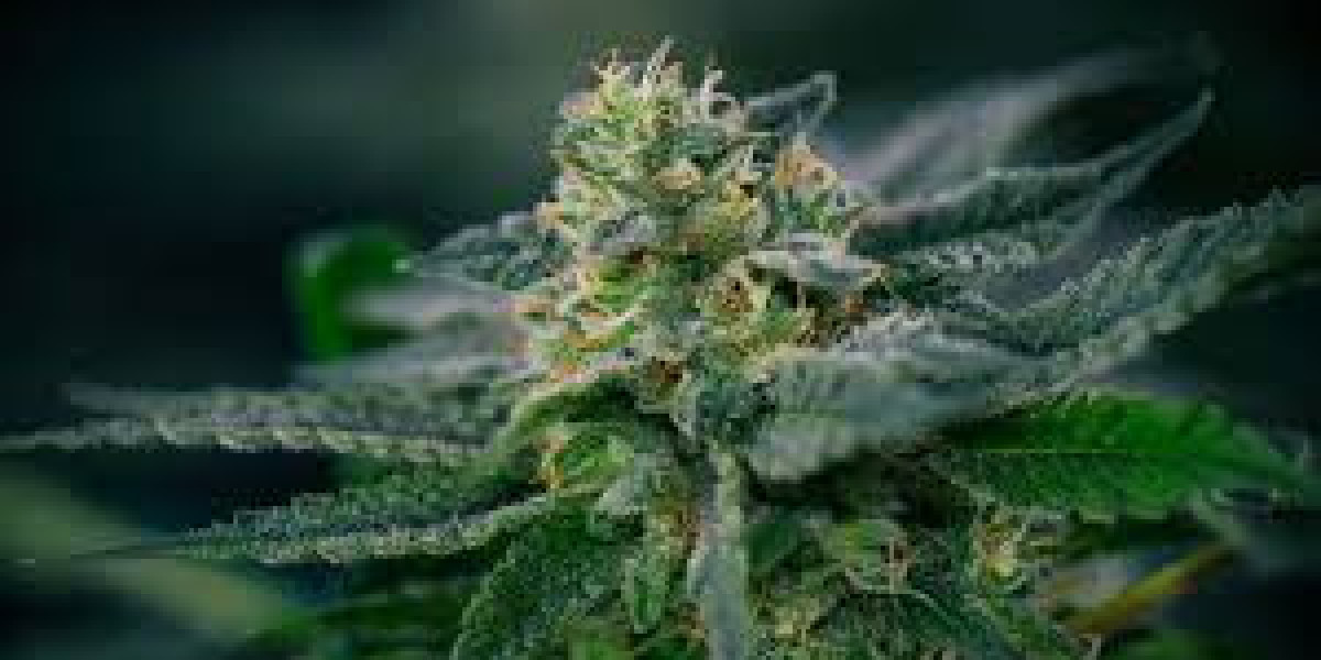 The Rise of Weed Delivery in Kitchener