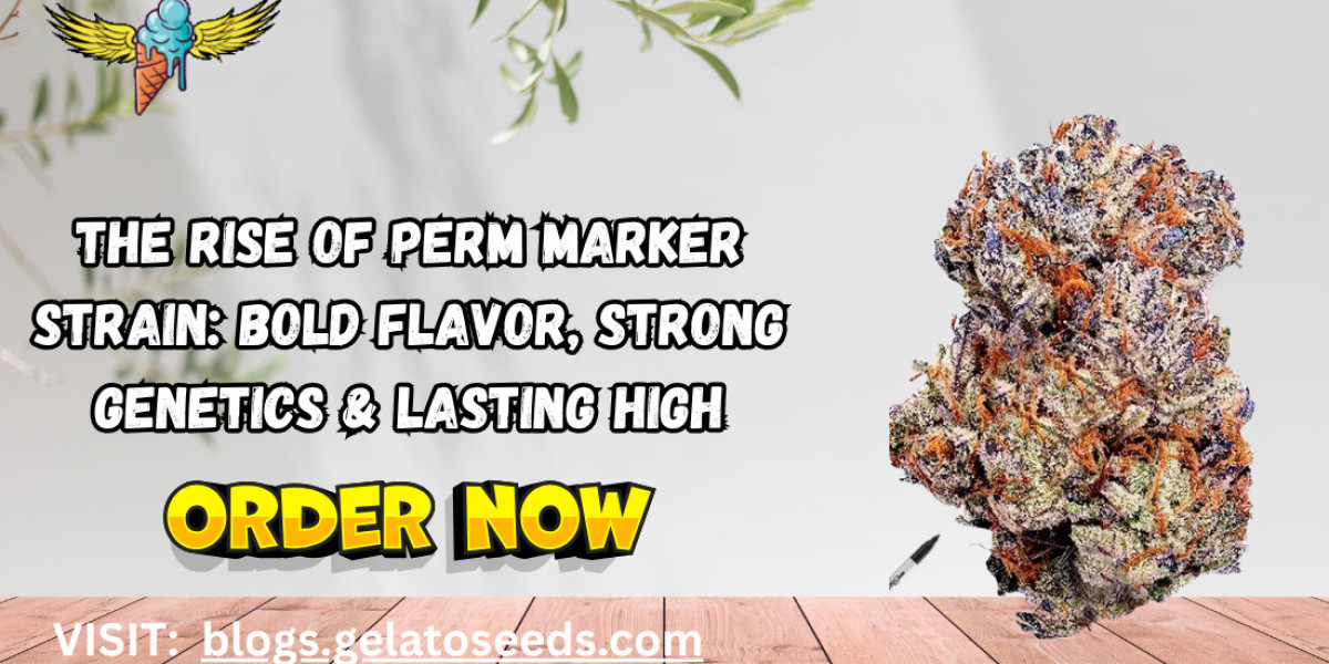 The Rise of Perm Marker Strain: Bold Flavor, Strong Genetics & Lasting High