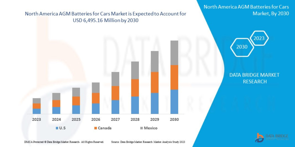 North America AGM Batteries for Cars Market Overview: Key Drivers and Challenges