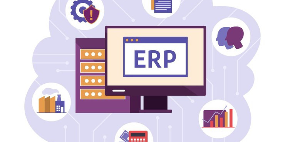 Digital Efficiency: ERP Systems in Jeddah & Dammam