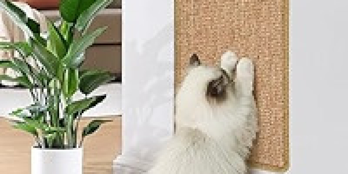 Why Every American Home Needs a Cat Scratching Mat