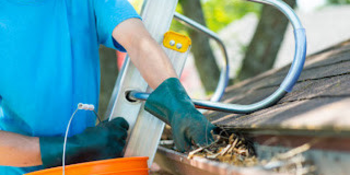 Gutter Cleaning Deer Park: The Ultimate Guide to Protecting Your Property