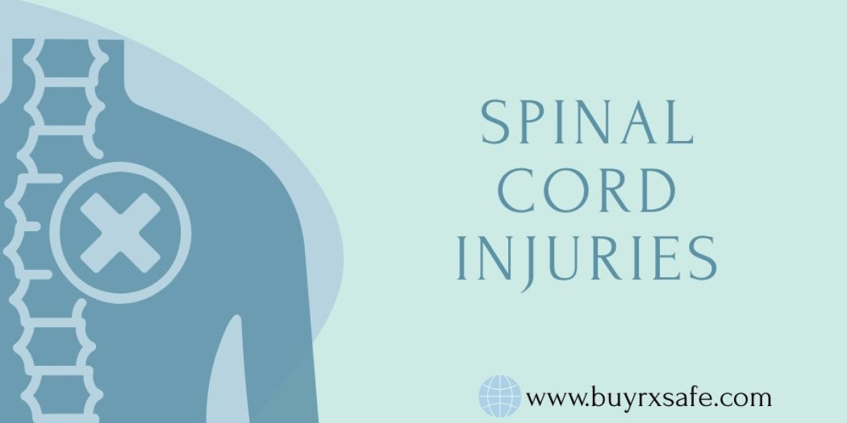 New Treatments for Spinal Cord Injury Recovery