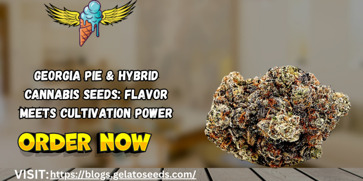 Georgia Pie & Hybrid Cannabis Seeds: Flavor Meets Cultivation Power