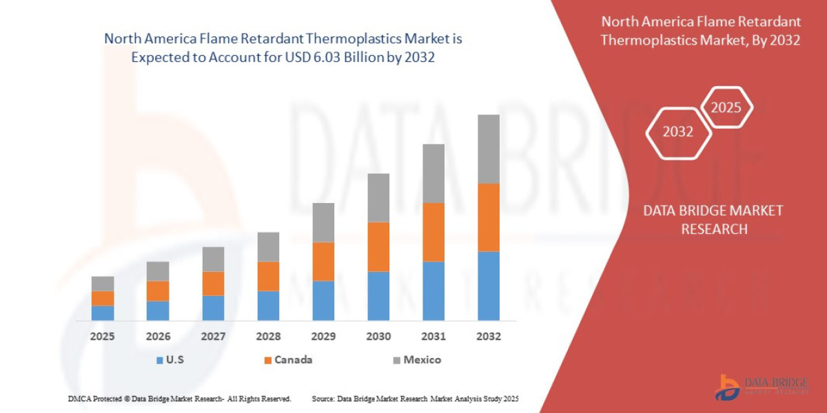 North America Flame Retardant Thermoplastics Market Outlook Through 2032 and Beyond Safety Insights