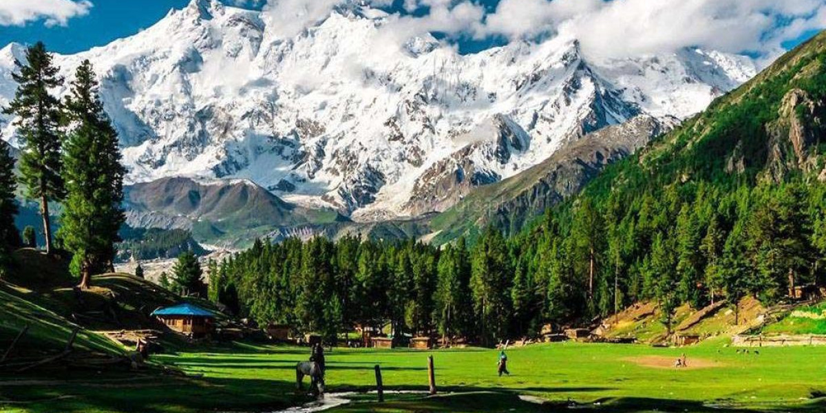 Your Gateway to the Majestic North, Hunza and Skardu Tour Packages