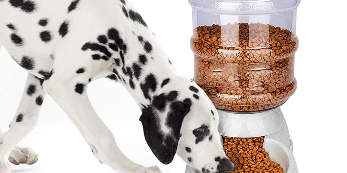 Pawtechpet Pet Feeder for Calm Pets and Clear Minds