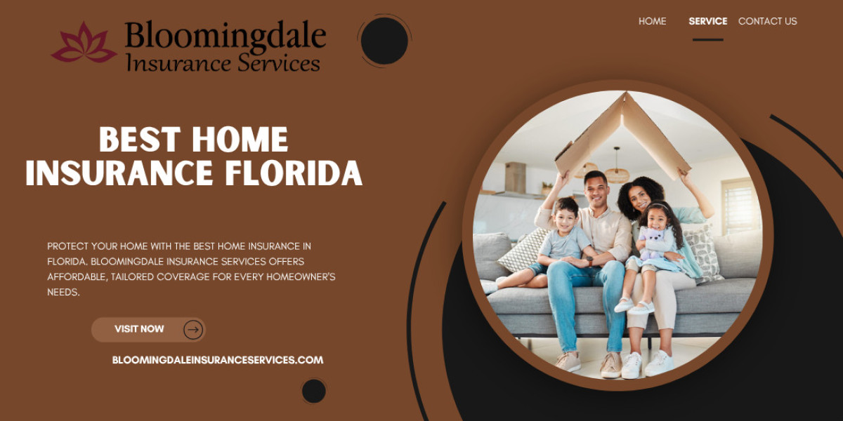 Why Bloomingdale Insurance Services Offers the Best Home Insurance Florida Needs