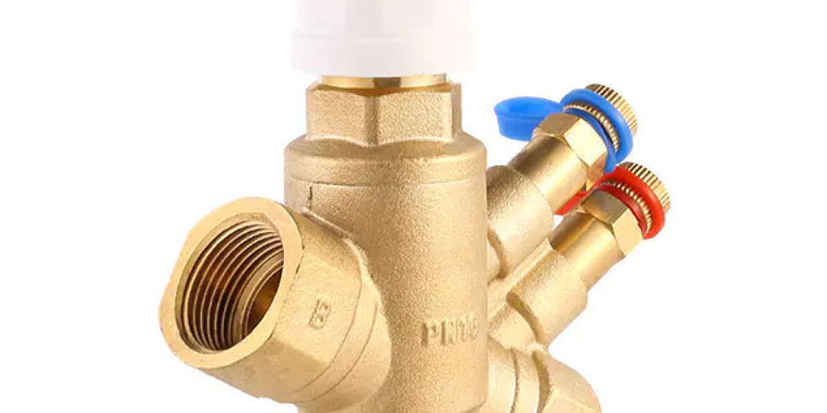 the Balance Valve is an essential component in fluid regulation