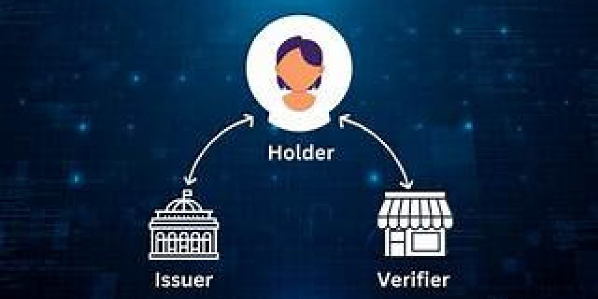 Empowering Digital Ownership: The Rise of Self-Sovereign Identity Systems