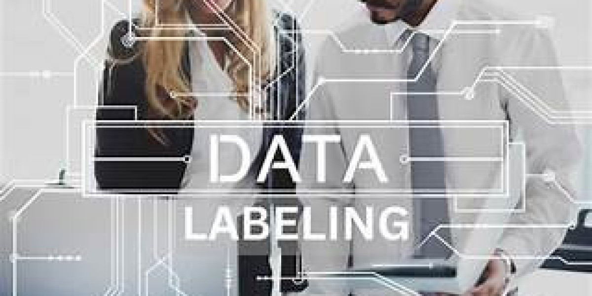 Creating Smarter AI: The Function of Data Collection and Labelling in Model Precision