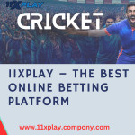 11xplay41 11xplay Profile Picture