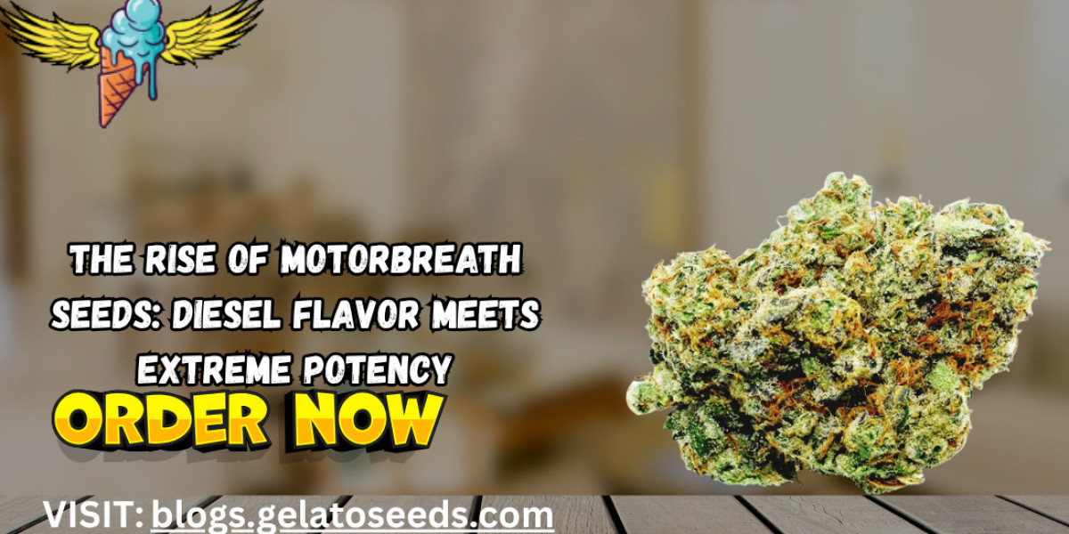 The Rise of Motorbreath Seeds: Diesel Flavor Meets Extreme Potency