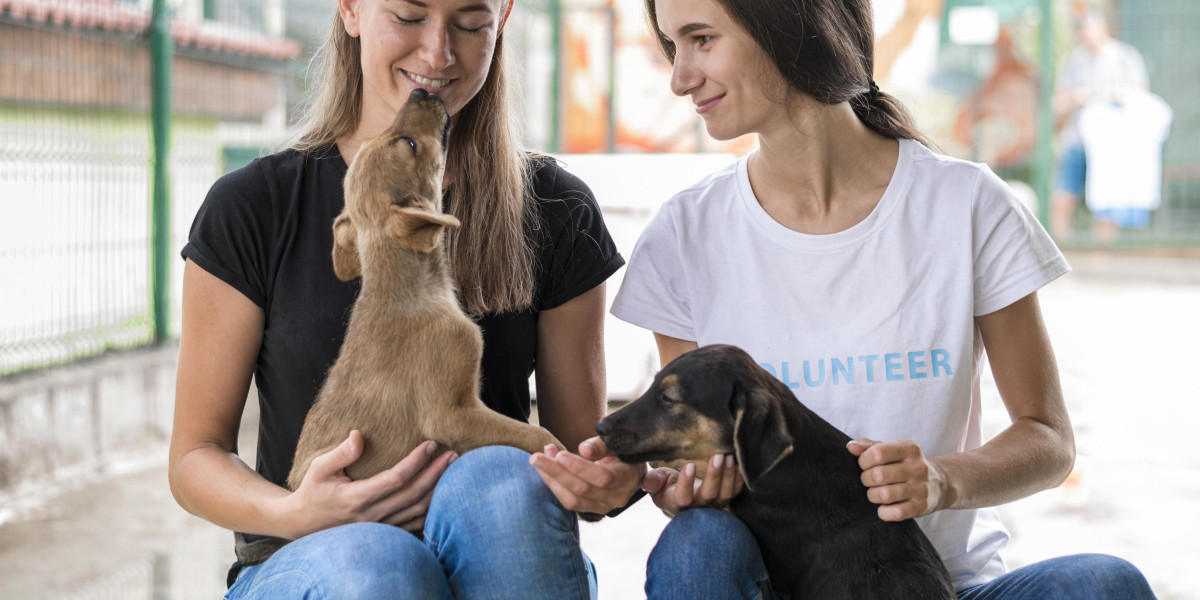 8 Must-Have Pet Care Products Every Dog and Cat Owner Needs