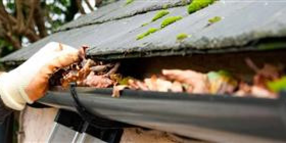 Gutter Cleaning Caulfield: Essential Maintenance for Safer, Smarter Homes